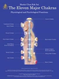 Eleven major chakras poster