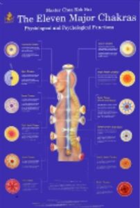 Eleven Major Chakras Large